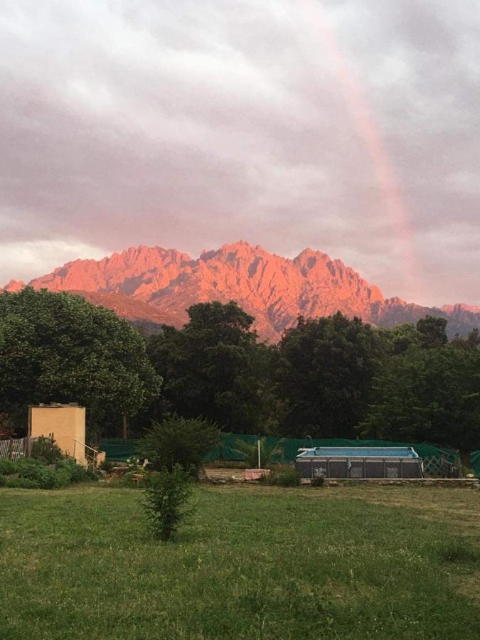 Le Coin Tranquille Hotel Morosaglia Luaran gambar